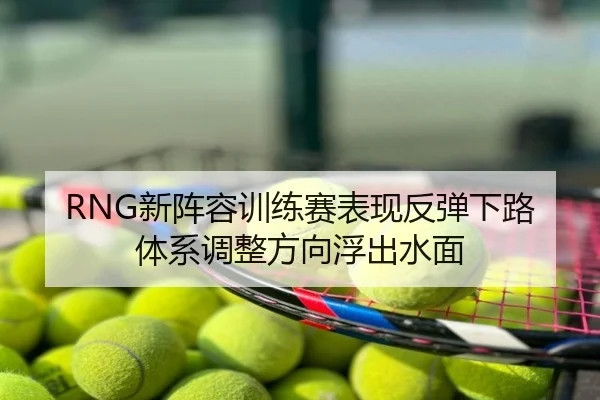RNG新阵容训练赛表现反弹下路体系调整方向浮出水面